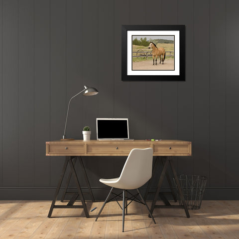 The Ranch Black Modern Wood Framed Art Print with Double Matting by Walker, Carol