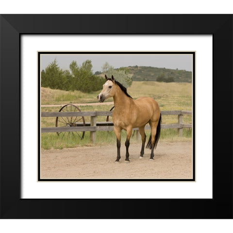 The Ranch Black Modern Wood Framed Art Print with Double Matting by Walker, Carol