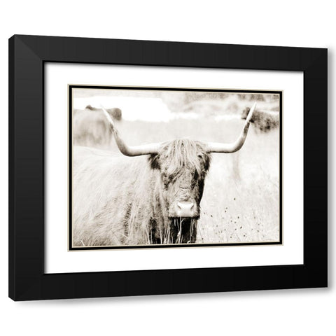 Sepia Bull Portrait Black Modern Wood Framed Art Print with Double Matting by SD Graphics Studio
