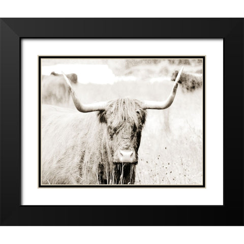 Sepia Bull Portrait Black Modern Wood Framed Art Print with Double Matting by SD Graphics Studio