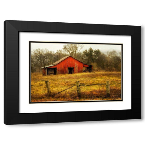 In the Country Black Modern Wood Framed Art Print with Double Matting by Amos, Andy