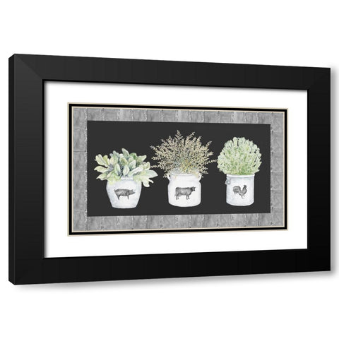Potted Farm Arrangement Trio on Chalkboard Black Modern Wood Framed Art Print with Double Matting by Gaynor, Janice