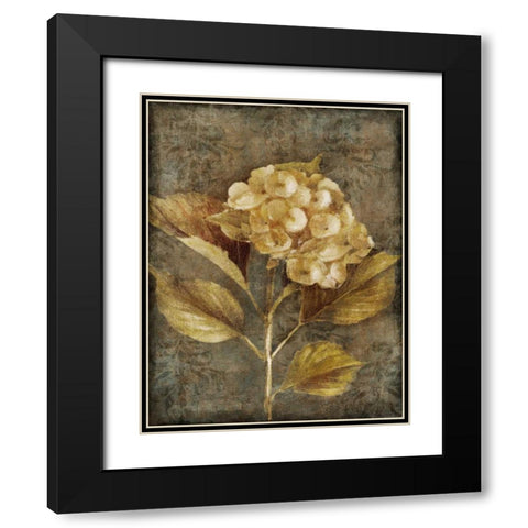 Antique Hydrangea I Black Modern Wood Framed Art Print with Double Matting by Loreth, Lanie