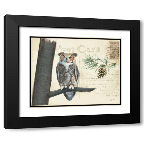 Northern Wild V Black Modern Wood Framed Art Print with Double Matting by Wiens, James