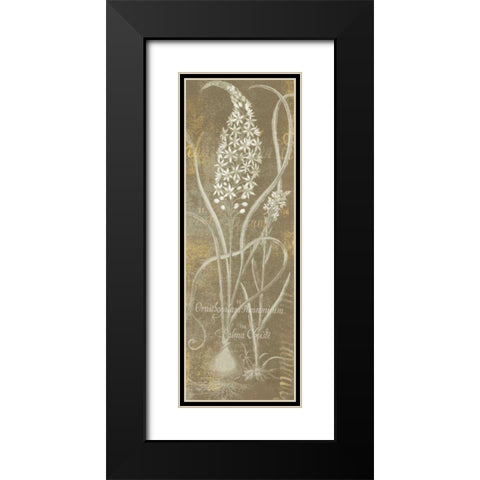 Flower Lines III Black Modern Wood Framed Art Print with Double Matting by Schlabach, Sue