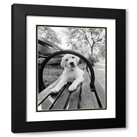Never Doubt That You Can Black Modern Wood Framed Art Print with Double Matting by Dratfield, Jim