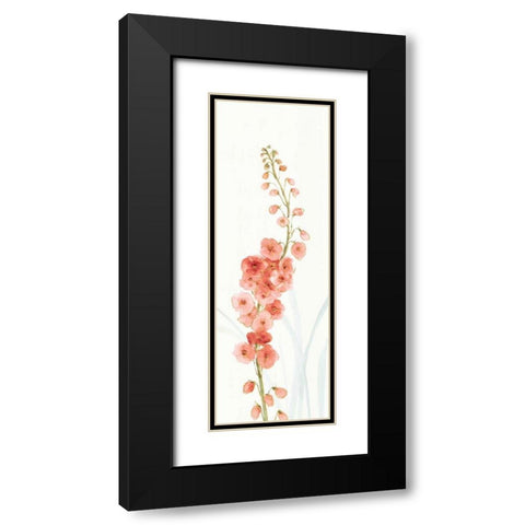 Rainbow Seeds Flowers VII Coral Black Modern Wood Framed Art Print with Double Matting by Audit, Lisa