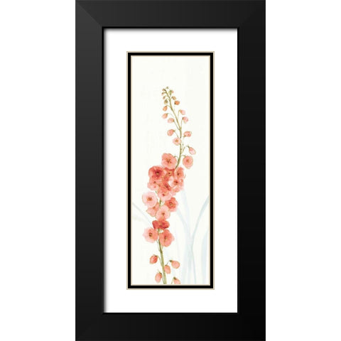 Rainbow Seeds Flowers VII Coral Black Modern Wood Framed Art Print with Double Matting by Audit, Lisa