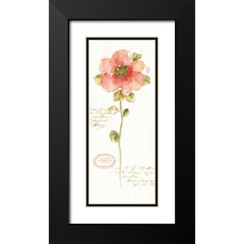 Rainbow Seeds Loose Floral IV Black Modern Wood Framed Art Print with Double Matting by Audit, Lisa