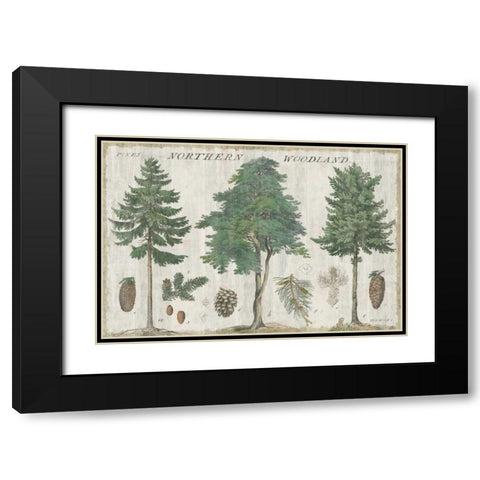 Woodland Chart I Black Modern Wood Framed Art Print with Double Matting by Schlabach, Sue