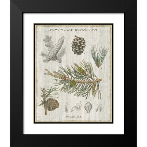 Woodland Chart III Black Modern Wood Framed Art Print with Double Matting by Schlabach, Sue