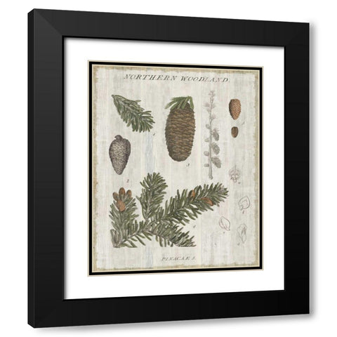 Woodland Chart IV Black Modern Wood Framed Art Print with Double Matting by Schlabach, Sue
