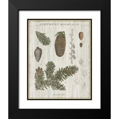 Woodland Chart IV Black Modern Wood Framed Art Print with Double Matting by Schlabach, Sue