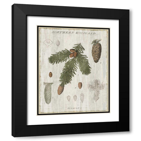 Woodland Chart V Black Modern Wood Framed Art Print with Double Matting by Schlabach, Sue