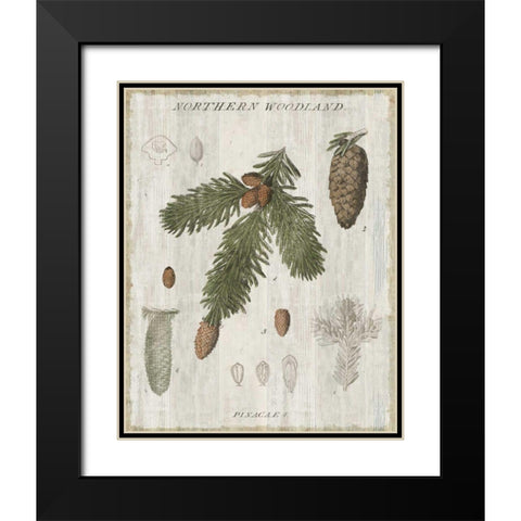 Woodland Chart V Black Modern Wood Framed Art Print with Double Matting by Schlabach, Sue