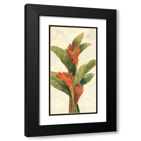 Ginger Blossom on White Black Modern Wood Framed Art Print with Double Matting by Hristova, Albena