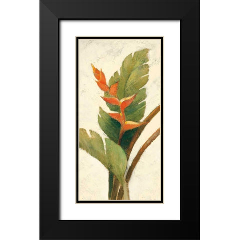 Halconia Blossom on White Black Modern Wood Framed Art Print with Double Matting by Hristova, Albena