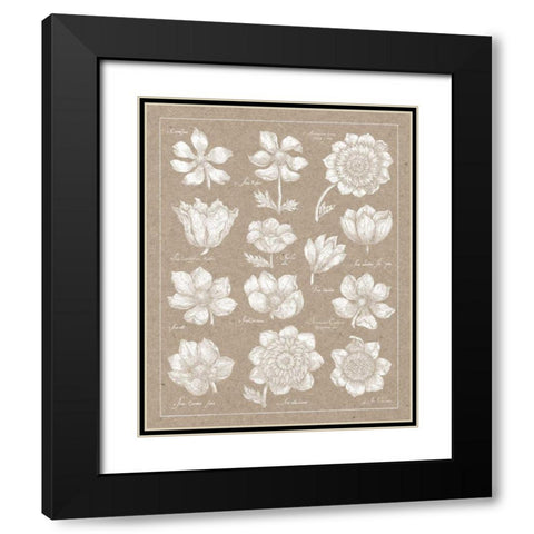 Anemone Plate I Black Modern Wood Framed Art Print with Double Matting by Wild Apple Portfolio