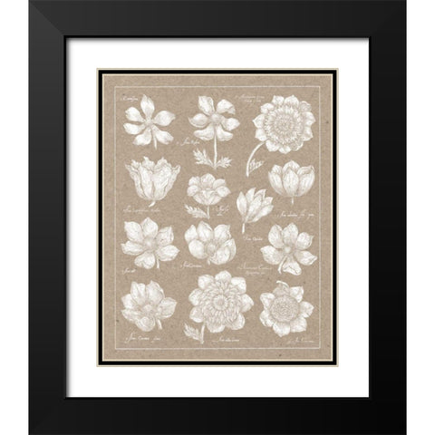 Anemone Plate I Black Modern Wood Framed Art Print with Double Matting by Wild Apple Portfolio