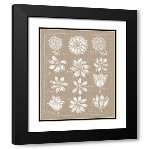 Anemone Plate II Black Modern Wood Framed Art Print with Double Matting by Wild Apple Portfolio