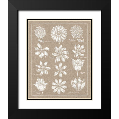 Anemone Plate II Black Modern Wood Framed Art Print with Double Matting by Wild Apple Portfolio