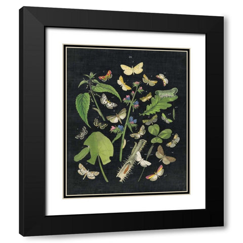 Butterfly Bouquet on Black III Black Modern Wood Framed Art Print with Double Matting by Wild Apple Portfolio