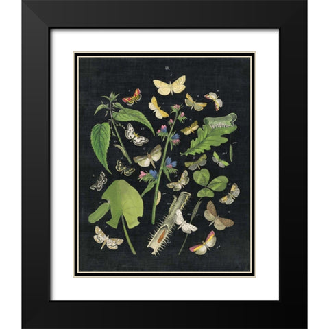 Butterfly Bouquet on Black III Black Modern Wood Framed Art Print with Double Matting by Wild Apple Portfolio
