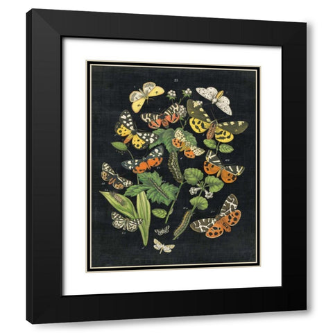 Butterfly Bouquet on Black IV Black Modern Wood Framed Art Print with Double Matting by Wild Apple Portfolio