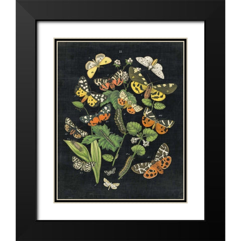 Butterfly Bouquet on Black IV Black Modern Wood Framed Art Print with Double Matting by Wild Apple Portfolio