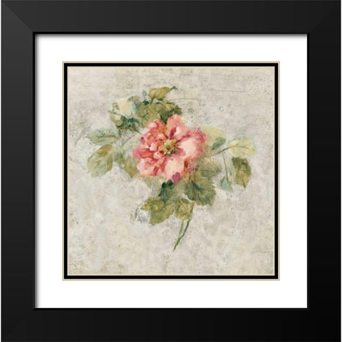 Provence Rose II Red and Neutral Black Modern Wood Framed Art Print with Double Matting by Blum, Cheri