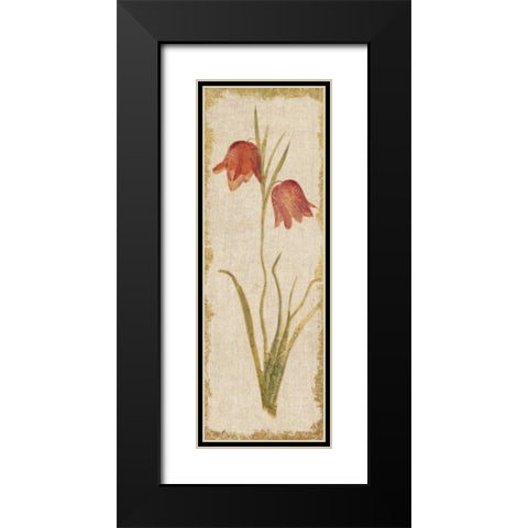 Red Tulip Panel on White Vintage Black Modern Wood Framed Art Print with Double Matting by Blum, Cheri