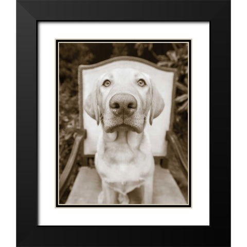 Sitting Black Modern Wood Framed Art Print with Double Matting by Dratfield, Jim