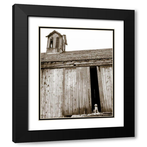 Barnyard Dog Black Modern Wood Framed Art Print with Double Matting by Dratfield, Jim