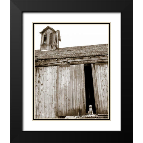 Barnyard Dog Black Modern Wood Framed Art Print with Double Matting by Dratfield, Jim