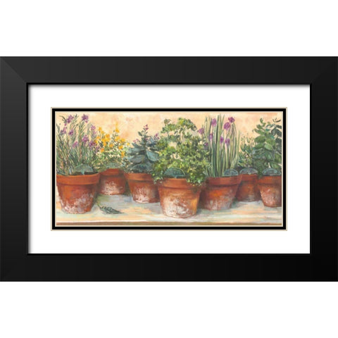 Country Herbs Black Modern Wood Framed Art Print with Double Matting by Rowan, Carol
