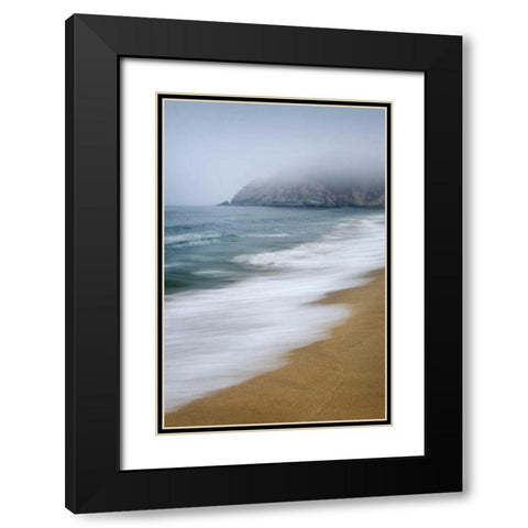 Gray Whale Cove Black Modern Wood Framed Art Print with Double Matting by Majchrowicz, Alan