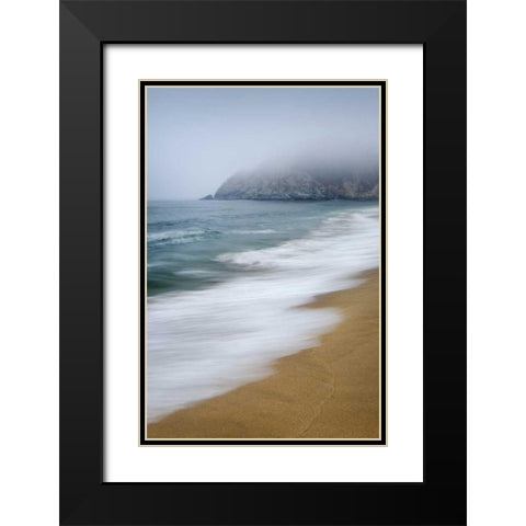 Gray Whale Cove Black Modern Wood Framed Art Print with Double Matting by Majchrowicz, Alan