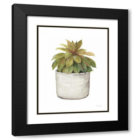 Mixed Greens Succulent III Black Modern Wood Framed Art Print with Double Matting by Audit, Lisa