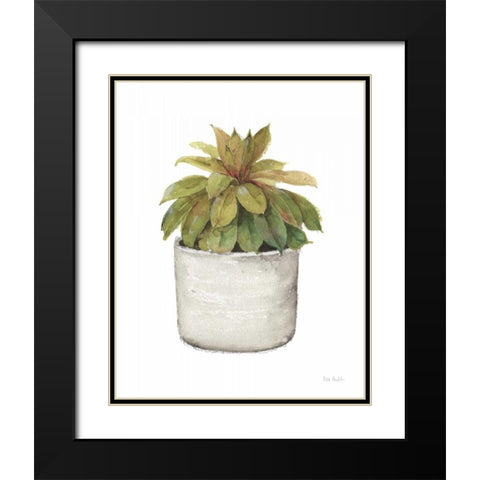 Mixed Greens Succulent III Black Modern Wood Framed Art Print with Double Matting by Audit, Lisa