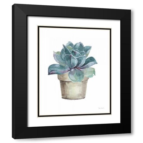 Mixed Greens Succulent IV Black Modern Wood Framed Art Print with Double Matting by Audit, Lisa