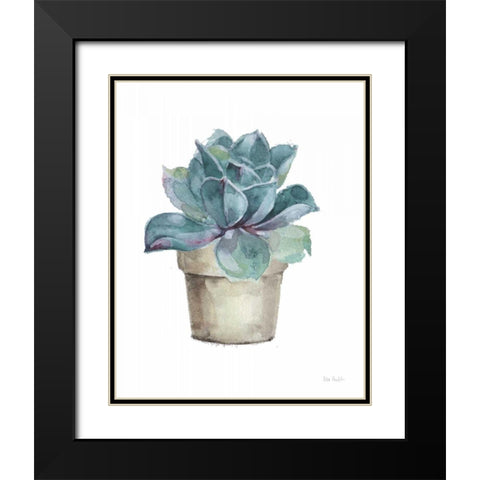 Mixed Greens Succulent IV Black Modern Wood Framed Art Print with Double Matting by Audit, Lisa