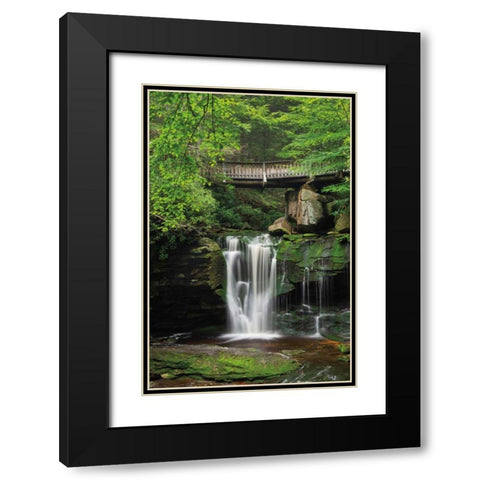 Elakala Falls West II Black Modern Wood Framed Art Print with Double Matting by Majchrowicz, Alan