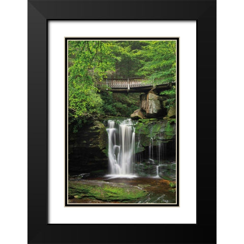 Elakala Falls West II Black Modern Wood Framed Art Print with Double Matting by Majchrowicz, Alan