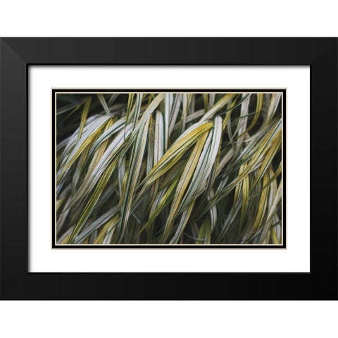 Leafy III Black Modern Wood Framed Art Print with Double Matting by Urquhart, Elizabeth