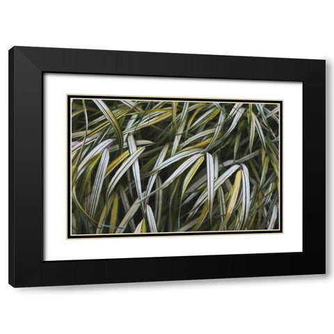 Leafy IV Black Modern Wood Framed Art Print with Double Matting by Urquhart, Elizabeth