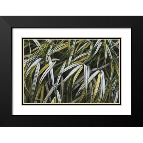 Leafy IV Black Modern Wood Framed Art Print with Double Matting by Urquhart, Elizabeth