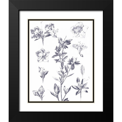 Lithograph Florals I Blue Black Modern Wood Framed Art Print with Double Matting by Wild Apple Portfolio