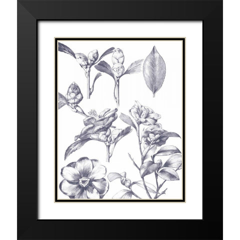 Lithograph Florals II Blue Black Modern Wood Framed Art Print with Double Matting by Wild Apple Portfolio