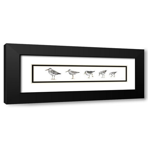 Pebbles and Sandpipers IX Gray No Words Border Black Modern Wood Framed Art Print with Double Matting by Audit, Lisa