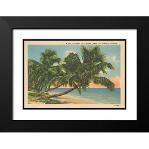 Florida Postcard III Black Modern Wood Framed Art Print with Double Matting by Wild Apple Portfolio